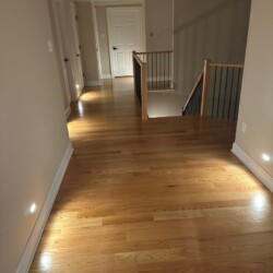Hallway with hardwood flooring